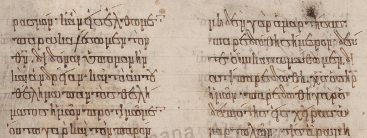 ott-gr-f-207r-closer2